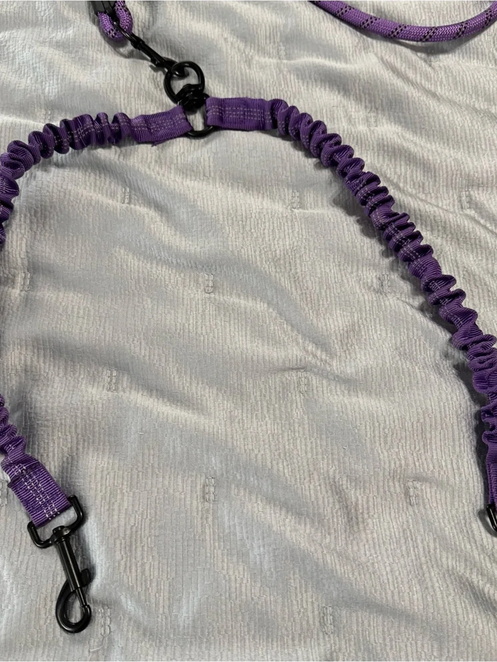 Purple Reflective Bungee Dog Leash with Padded Handle